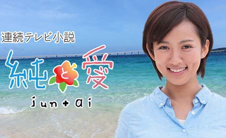 「純と愛」の画像検索結果