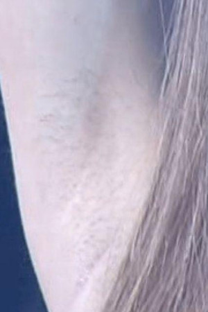 板野友美腋の下