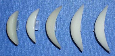 プロテーゼ写真