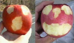 松丸友紀 新田康仁13