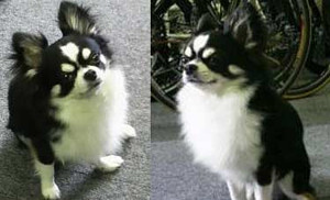 松丸友紀 新田康仁14