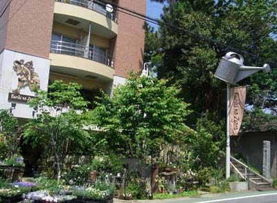 ブリキのジョーロ