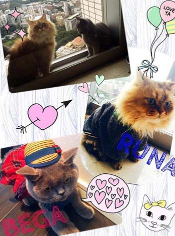 夏目すずがインスタに投稿した部屋の写真2枚目