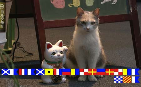 『ヨルタモリ』で表示された謎の旗