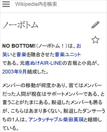 ノーボトムのウィキペディアページプロフィール欄
