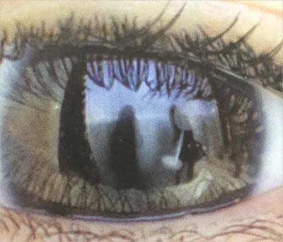 新垣結衣の目にスタッフが写っている雪肌精の新ポスター