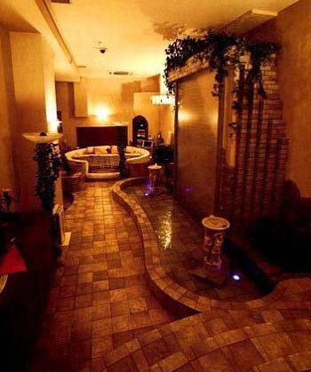 GACKTが暮らしていた世田谷の自宅内部(滝)