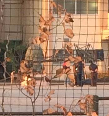 「ガースー黒光り 科学研究所」に登場するガースー像