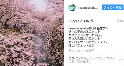 佐々木希がインスタグラムに投稿した桜の写真