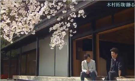 『報道ステーション』独占インタビュー取材受けた木村拓哉と桜の木