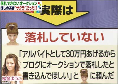 ペニーオークション詐欺事件、ほしのあきの供述