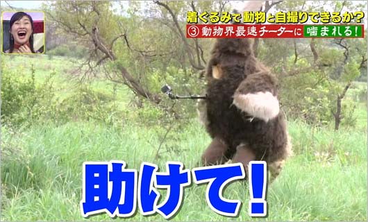『坂上探検隊』狩野英孝がチーターと格闘シーン10枚目