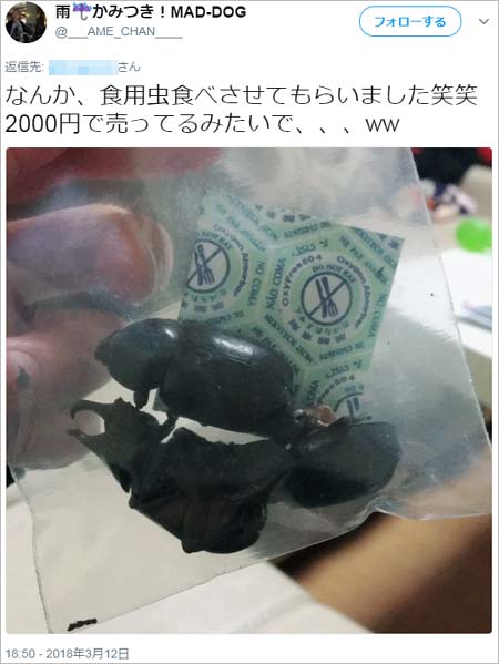 かみつき!MAD-DOGの雨が食べた食用のカブトムシ