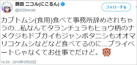藤田ニコルのツイート