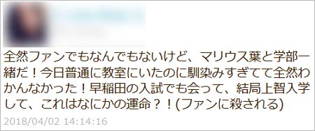 マリウス葉が上智大学国際教養学部に入学？ツイート