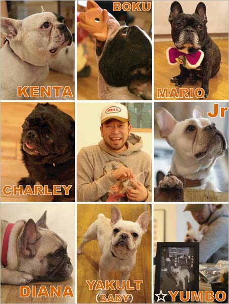 槇原敬之と愛犬