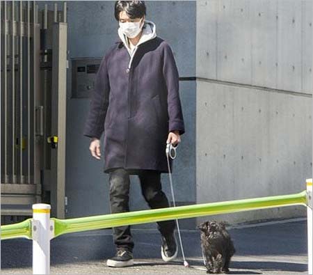 愛犬を散歩させる長谷川博己