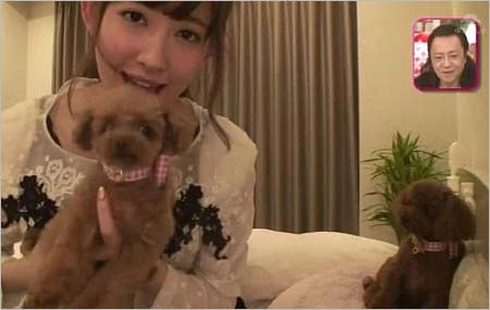 小嶋陽菜の愛犬1枚目