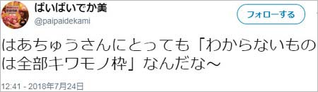 ぱいぱいでか美のツイート1枚目