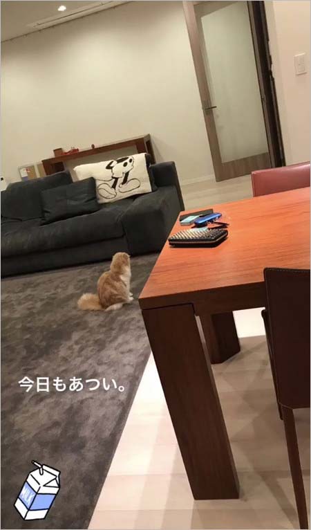 小山慶一郎の自宅・室内？写真