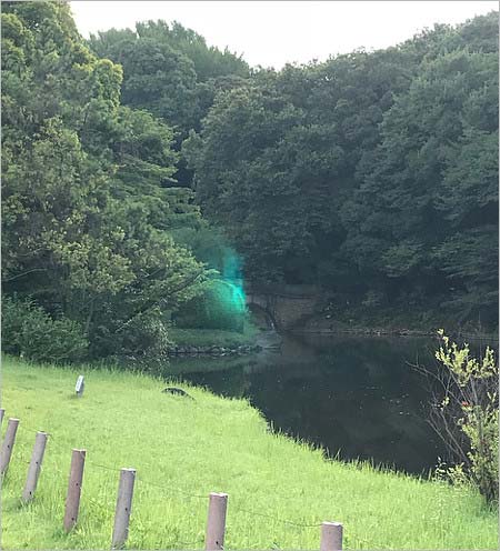 小林麻耶のインスタグラム投稿の明治神宮パワースポットの写真