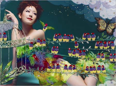 清川あさみの美女採集、モデル・木村カエラ