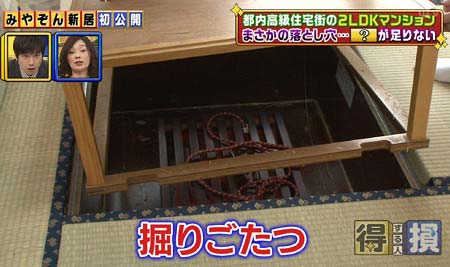 みやぞんの新居・和室