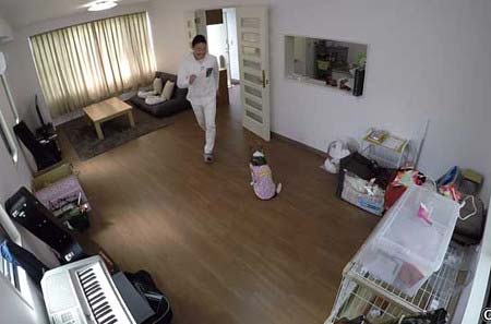 みやぞんの自宅、リビングの写真