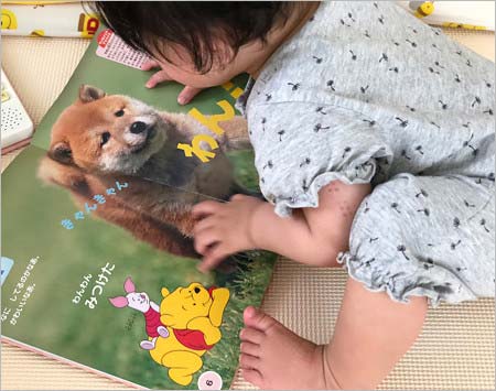 高垣麗子の子供(娘)