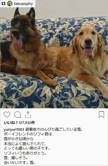 石田ゆり子が人気インスタグラム更新停止か 疲れたと告白の理由 愛犬 雪の避暑地投稿への批判が関係 画像あり 今日の最新芸能ゴシップニュースサイト 芸トピ