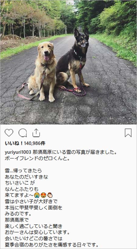 石田ゆり子が人気インスタグラム更新停止か 疲れたと告白の理由 愛犬 雪の避暑地投稿への批判が関係 画像あり 今日の最新芸能ゴシップニュースサイト 芸トピ