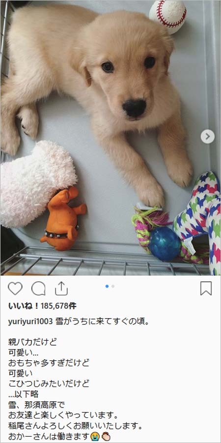 石田ゆり子が人気インスタグラム更新停止か 疲れたと告白の理由 愛犬 雪の避暑地投稿への批判が関係 画像あり 今日の最新芸能ゴシップニュースサイト 芸トピ