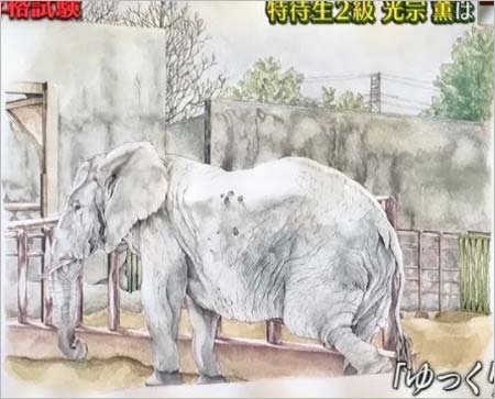元AKB48光宗薫の水彩画、プレバトで描いたゾウの絵