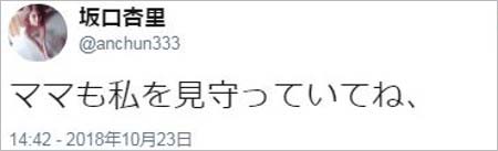 ANRI・坂口杏里のツイート画像2枚目