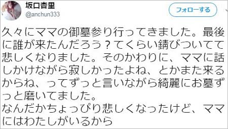 ANRI・坂口杏里のツイート画像1枚目