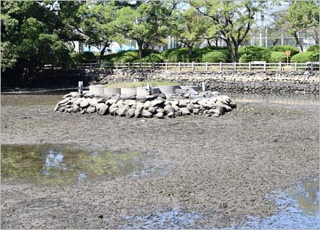 池の水を抜いた後の長崎県大村市内の大村公園