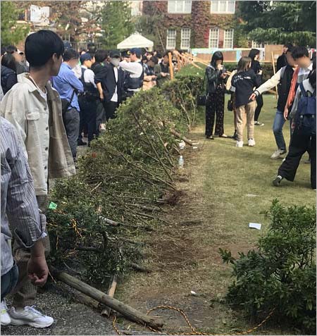 橋本環奈が出演イベント・立教大学の学園祭イベント、事故現場の植え込み