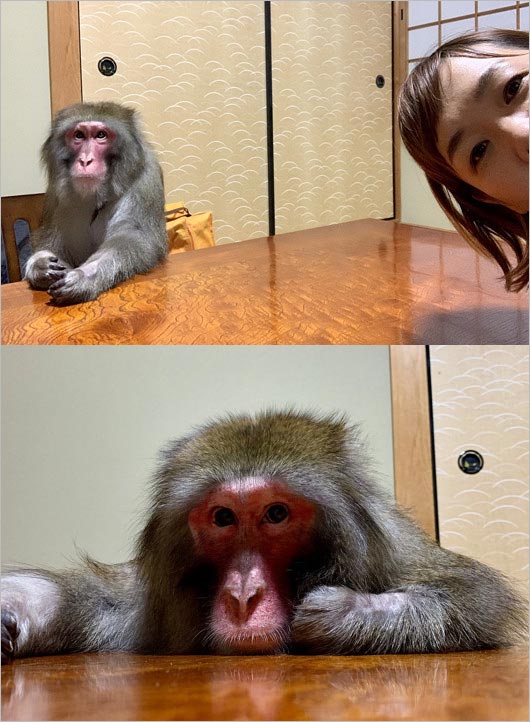 生前のゆりありく・りく