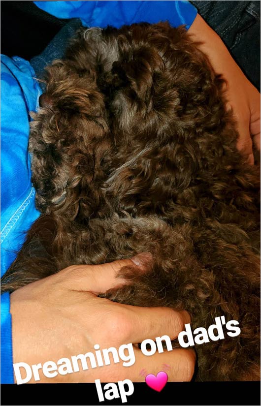 Kokiインスタグラムストーリーズにキムタクの手