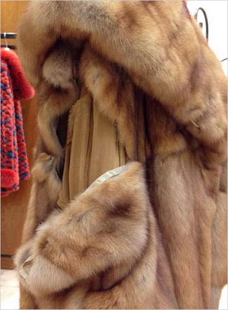 デヴィ夫人の破れた高級毛皮コート