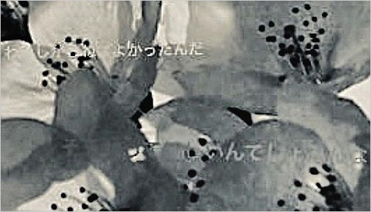 足立梨花のインスタ・ストーリー、文字分析のモノクロVer