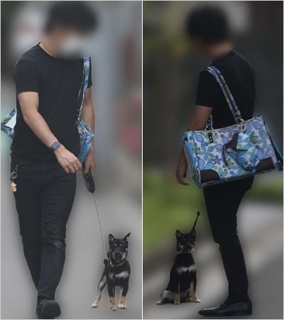 長沢菜々香の愛犬を散歩させる恋人A氏