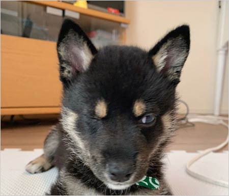 長沢菜々香がインスタグラムに投稿した写真に写るテレビ台