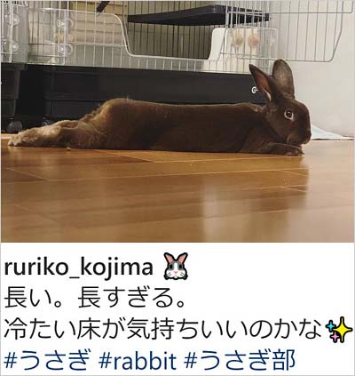 小島瑠璃子のインスタ