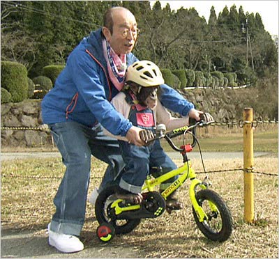 志村けんがプリンちゃんに自転車を教える姿