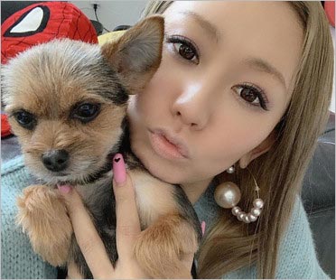 倖田來未に愛犬虐待疑惑も キレ顔でオモチャ投げ飛ばすインスタグラムライブ動画が話題 本性が垣間見えたの声も 今日の最新芸能ゴシップニュースサイト 芸トピ