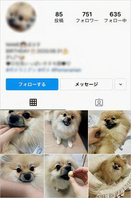 浜辺美波インスタグラム裏アカウント画像
