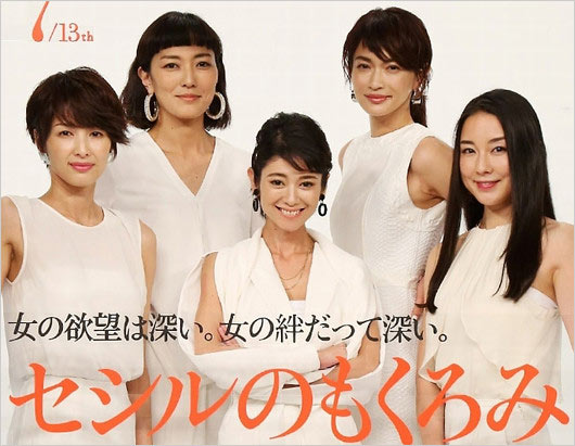 真木よう子の主演ドラマ『セシルのもくろみ』出演者の画像