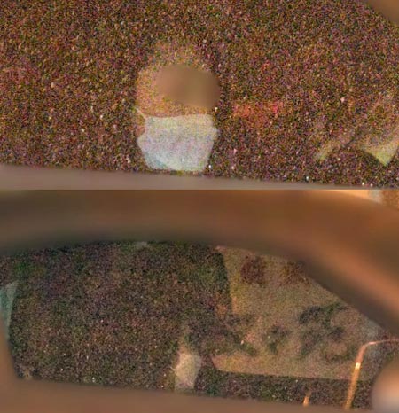 市川海老蔵と密会のY子