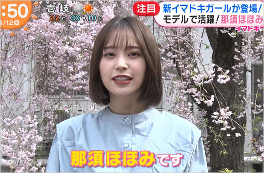 那須ほほみ(那須笑美)めざましテレビ・イマドキガール画像